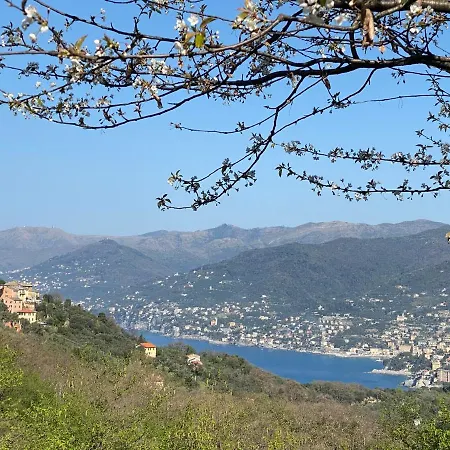 Apartment Liguria 4 - Centro A 2 Minuti Dal Mare *