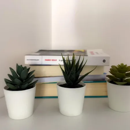 Liguria 4 - Centro A 2 Minuti Dal Mare *